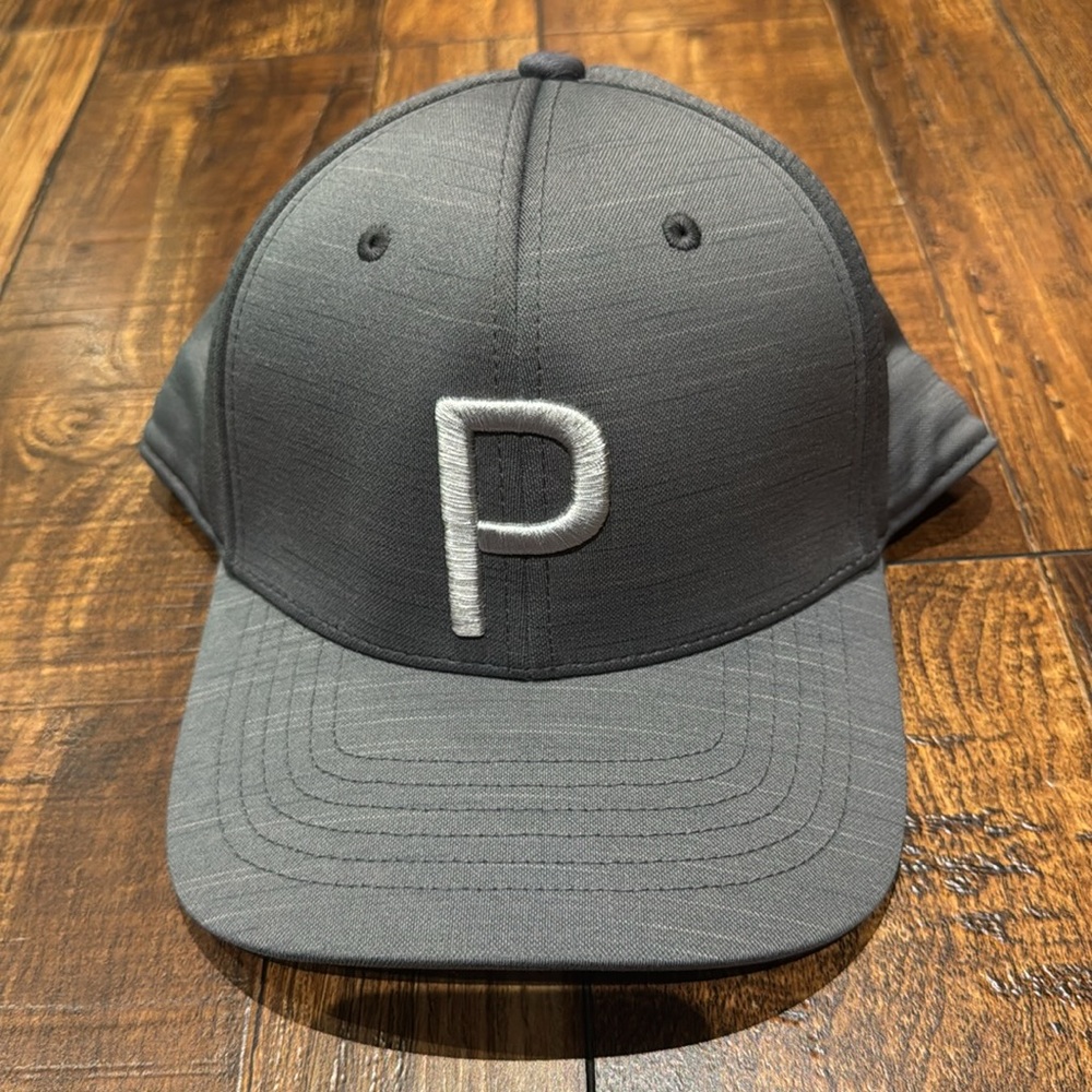 MPuma P cap/Ash Gray / carbon gray